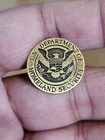 Department Of Homeland Security Pin