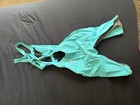Speedo Women s Fastskin Lzr Pure Valor Blue Size 20
