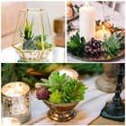 16 Pcs Artificial Succulent Plants Faux Unpotted Succulents Diy Home Decor