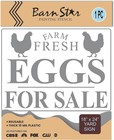 Farm Fresh Chicken Eggs For Sale Yard Sign Stencil  Reusable Template  Paint    
