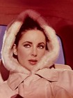 Vintage Elizabeth Taylor The V i p s  1963  Original 4x5 Color Transparency Film