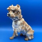 Scarce Antique European Porcelain Dog Figurine  Glass Eyes  Toy Or Terrier Type