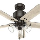 Hunter Fan 44 In Traditional Noble Bronze Ceiling Fan With Light And Pull Chain
