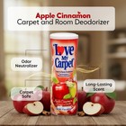 6 Pack Carpet Deodorizer Powder Pet Odor Eliminator Apple Cinnamon 17oz