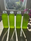 Live Copepods 48 Oz   Live Phytoplankton Culture 16 Oz