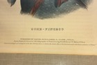 Chief Oche - Finceco Lithograph By D Rice   J Clark  1843