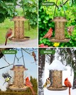 Solar Bird Feeder Lantern  Metal Outdoor Hanging Feeder Wild Birds  2lb Capacity