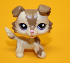 Littlest Pet Shop  Hasbro Lps Figur  2210