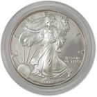 1999 P American Silver Eagle Choice Proof Bullion  1 Coin Ogp Coa