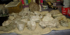 Large 37 Lb   Lot Of 27 Quartz Stone  Clusters  Many Points Geode Brazil Healing
