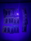     lot Of 20x Alpha 24kt Aurum Idaho Goldbacks 1 2000 Troy Oz 999 Fine