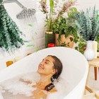 Bulk Package 30 Pcs Real Dried Eucalyptus Plant Large Stems For Shower Natur