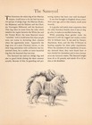 1942 Antique Samoyed Print Edwin Megargee Samoyed Art Illustration 5505k
