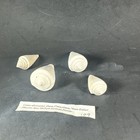 Set Of 4 Conus Adversarius  pliocene  Florida 49 57 65 And 70mm Extinct W Data  