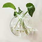 6 Pack Hanging Wall Vases  Glass Hainging Planter Propagation Set Of 6  Clear 