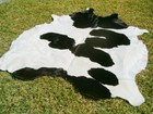 Big   New   Black   White Cowhide Rug Natural Cowhides Cow Hide Skin 6x6 Feet Bs