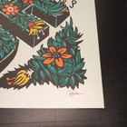 Phish Poster Mondegreen 8 15 8 16 8 17 8 18-24 Dover Delaware Woodlands Pollock