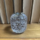 Hammersmith Farm Newport Ri Glass Pineapple Paperweight Souvenir Estate Gift