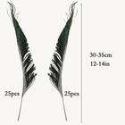 50pcs Natural Peacock Sword Feathers 12-14 Inch 25 Left   25 Right  Natural