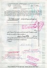 The Grand Union Company Stock Certificate Less Than 100 Shares