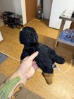 Russ Yomiko Classics Rottweiler Puppy Plush Stuffed Animal 10   