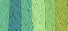 Czech 11 0 Preciosa 58xxx Colors Bundle Rocaille Glass Seed Beads