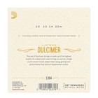 D addario Ej64 4-string Dulcimer Strings  12-22