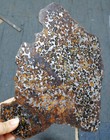 540g Sericho Pallasite Meteorite Slice From Kenya