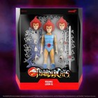 S7 Ultimates  Figures - Thundercats - W10 - Young Lion-o
