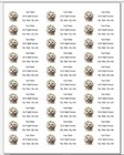 150 Maltese Dog Daisy Flowers Mailing Return Address Labels Personalized