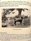 1964 Fun On Horseback Self Horse Riding Training Gymkhana Foxhunting Equitation