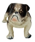 Porcelain Bulldog Figurine 4-3 4      Labeled Miyakos Original  Japan     Cgdc2508