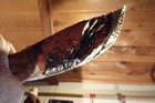 Large Triple Flow Obsidian Drop Point Knife  Nontypical Deer Antler Handle Coa