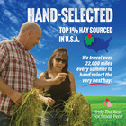 Orchard Grass Hay Pet Food For Rabbits  Guinea Pigs  Chinchillas