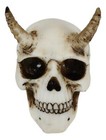 Small Horned Demon Skull Statue 3 75 h Hell Spawn Skeleton Inferno Imp Figurine