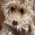 Russ Berrie Official Radcliffe Brown Teddy Bear Bow Tie Plush Stuffed Toy Animal