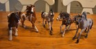 Group Of 5 Schleich Horses 2005  2014  2016  2020