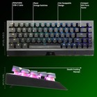 Razer Blackwidow V4 Mini 65  Form Factor Rgb Gaming Keyboard Orange Switches