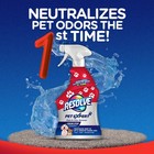 Pet Expert Stain And Odor Remover  Carpet Cleaner  Pet Stain And Odor Remover   