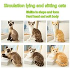 Siamese Cat Stuffed Animal Plush Toy 20cm 25cm Lifelike Soft Cat Doll Gift