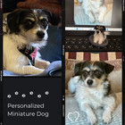 Custom Felted Dog From Photo     Handmade Pet Portrait     Wool Dog Sculpture
