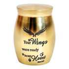 Mini Pet Memorial Small Urns For Dog Cat Ashes Stainless Steel  gold  1 57inch