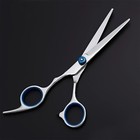 Professional Salon Hair Cutting Thinning Scissors Barber Shears Hairdressing Set