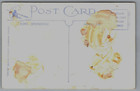 Vintage Postcard - Greetings From Poland N y  - New York