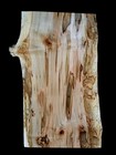 Xxl Wicked Figured Ambrosia Maple  Burl Wood Slab Craft turning Wood Epoxy Wood 
