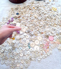Huge Lot Antique Vintage Buttons Mother Of Pearl Shell Plastic Glass Carved Plai