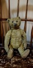 My Grandmother s Antique  Steiff Teddy Bear     Trailng Ff Button In Ear 14 