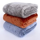Large Dog Blanket Washable Cosy Fleece Pet Blankets For Dogs Cats Bed Chewproof