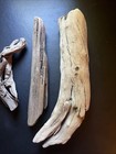 Large Natural Cape Cod Driftwood Pieces For Crafts Animals