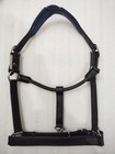 Blue Crystal   Padding Leather Halter With S s  Fitting For Horse 